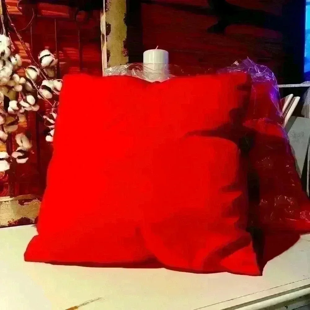 NWT TWO Outdoor Throw Pillows